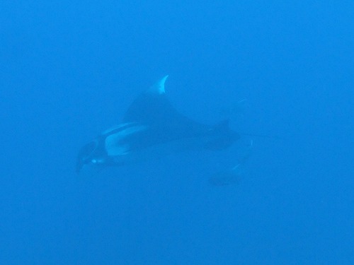 DSCF2132.jpg