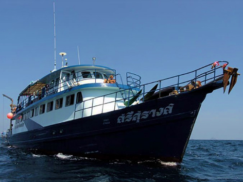 MV SCUBA CAT.jpg