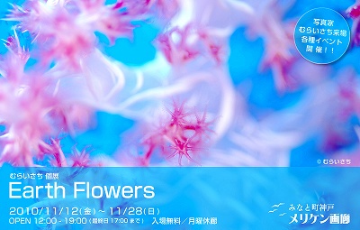 earthflowers.jpg